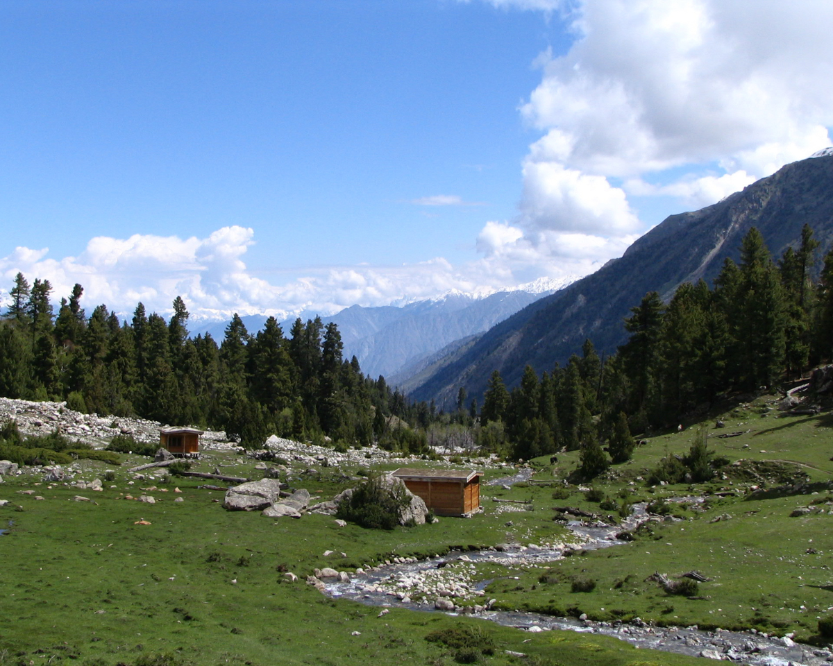 Fairy Meadows & Nanga Parbat Trek