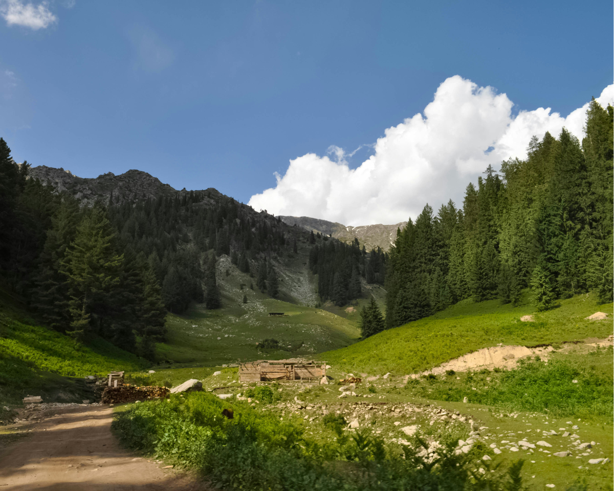 Swat Valley Cultural and Historical Tour (3 days)